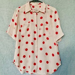 Polka Dog Ann Taylor Button Down